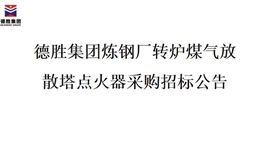 华体会 （hth）·官方网站-登录入口-HTH SPORTS
炼钢厂转炉煤气放散塔点火器招标项目