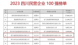 连续六年！华体会 （hth）·官方网站-登录入口-HTH SPORTS
上榜“四川民营企业100强”